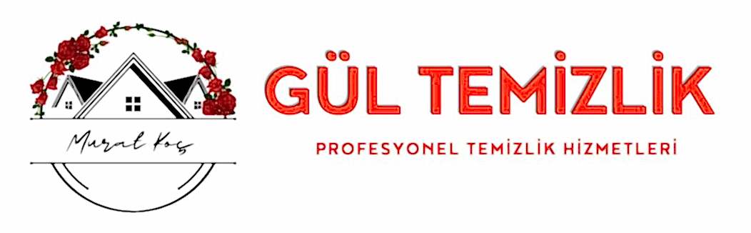 Ankara Temizlik Firması